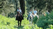 12-str-horseback-rides1