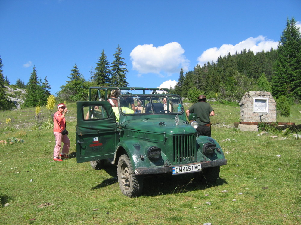 12-str-jeep_safari4