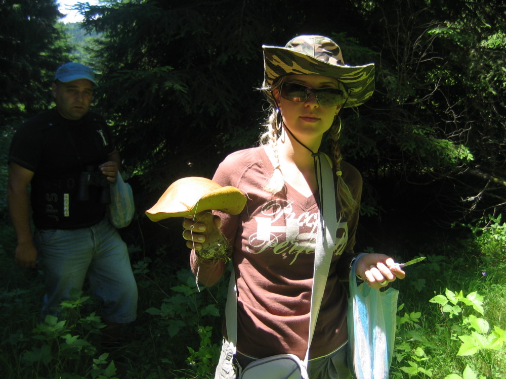 12-str-picking_mushrooms